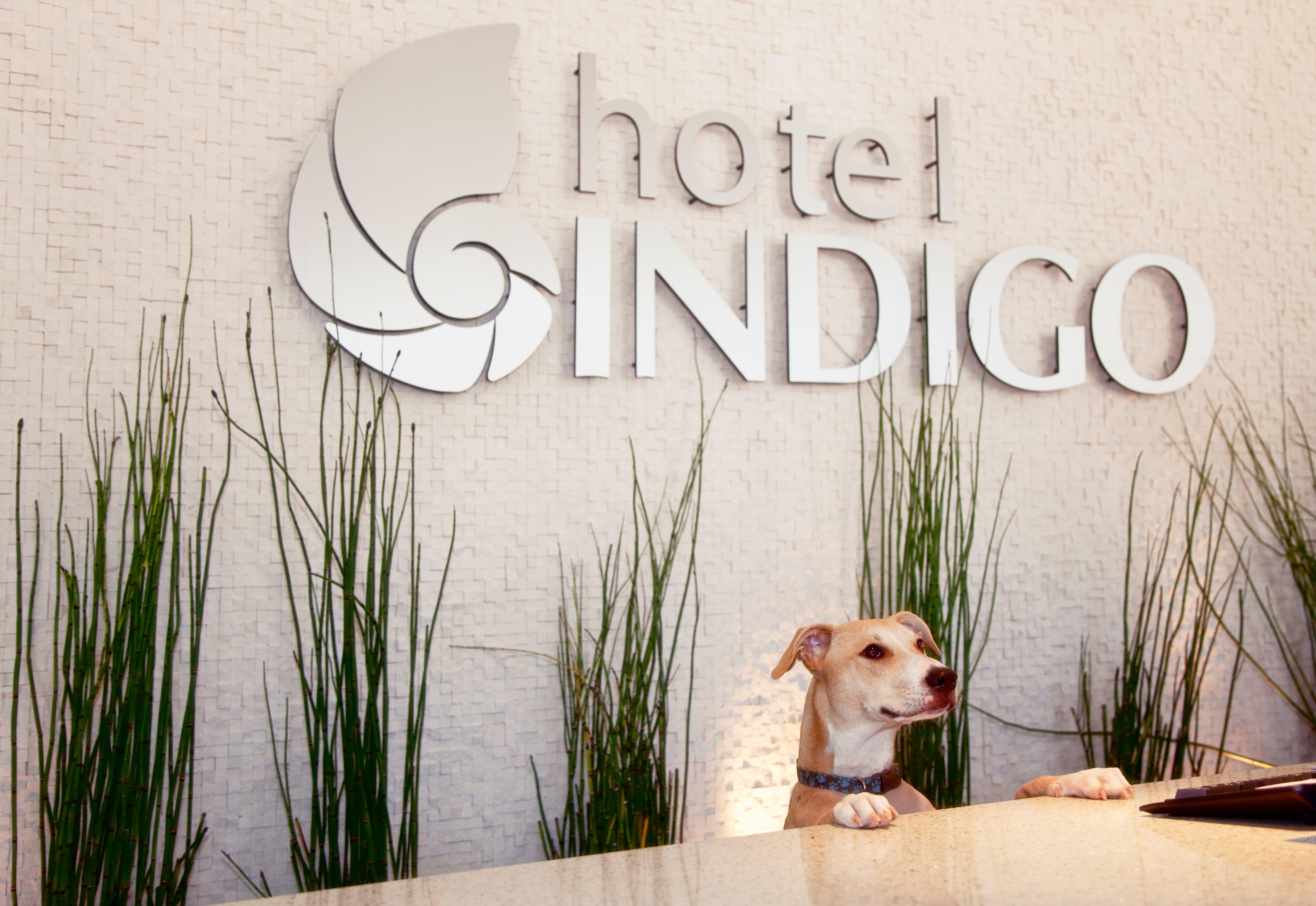 Hotel Indigo San Diego - Gaslamp Quarter By Ihg Zewnętrze zdjęcie